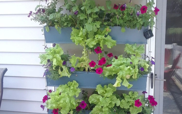 The Little Warm House - bed and Breakfast for Rent