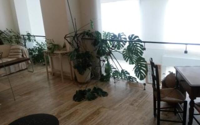 B&B Caza Sereyna
