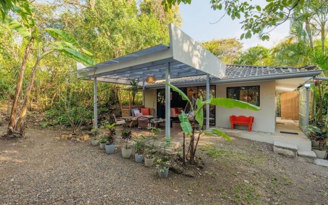 Relaxing Sound of River Birds Squirrels