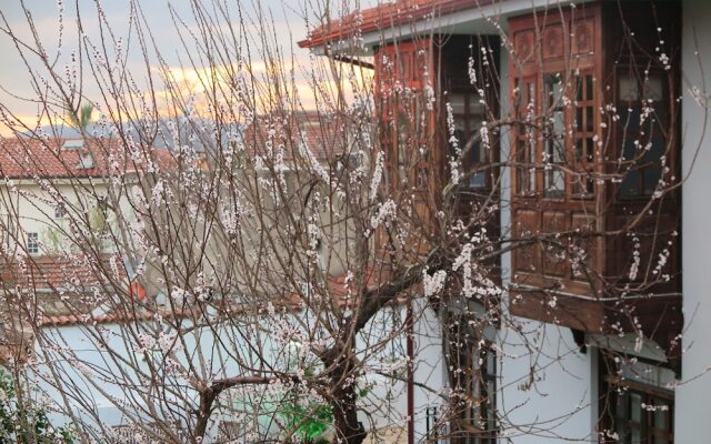 Ephesus Paradise