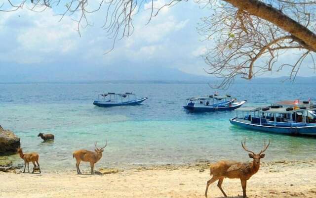 Dewantara Boutique Villa Resort Bali