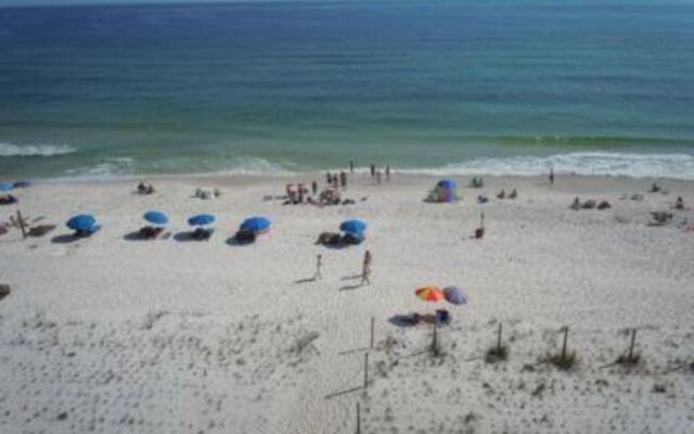 Edgewater by Youngs Suncoast