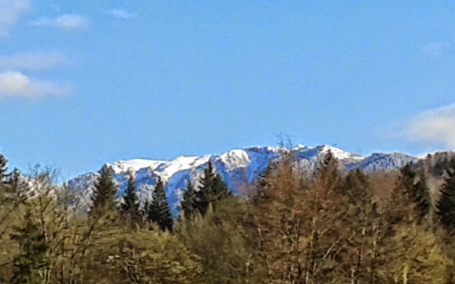 Dumbrava Soarelui