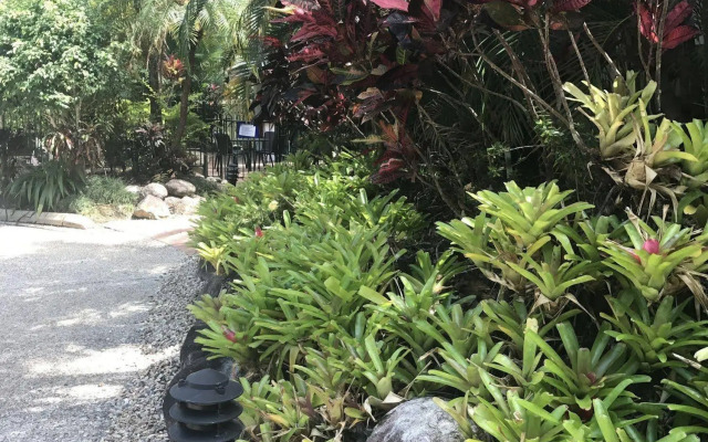 Port Douglas Palm Villas