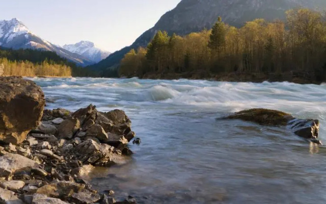 Gasthof Schwarzer Adler