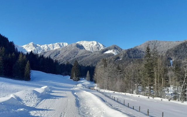 Secluded Apartment in Ferlach near Bodental Ski Lift