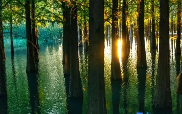 Yurun Select Hotel (Kunming South Railway Station)