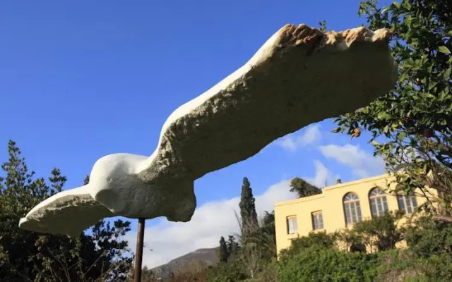 Montofoli Wine Estate