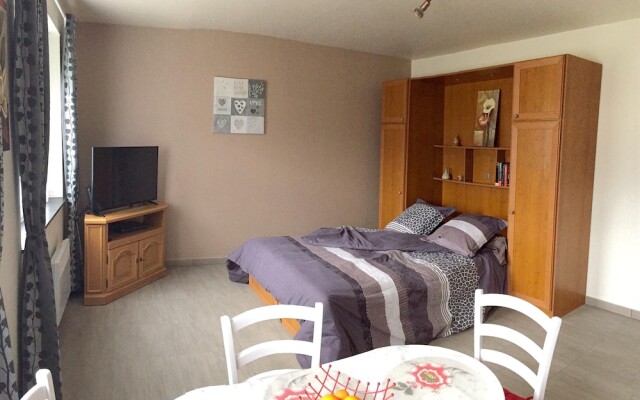 Studio in Niederbronn-les-bains, With Wifi
