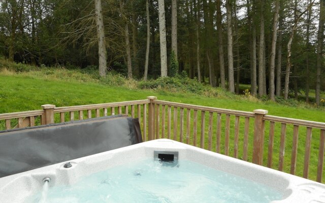 Lord Galloway 32 (H 2016) 82334