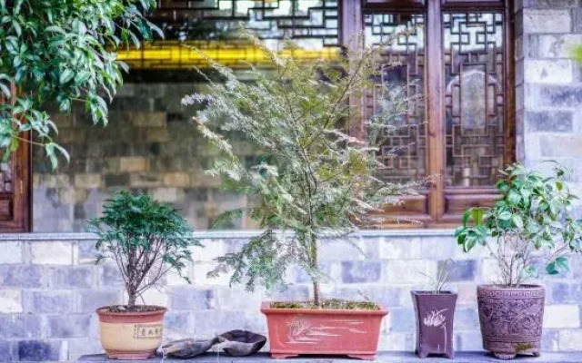 Yijia 7078 Hostel
