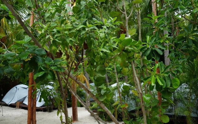 Ka'anche Camping - Hostel