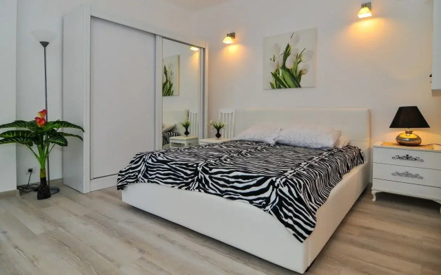 Apartments Stankovic