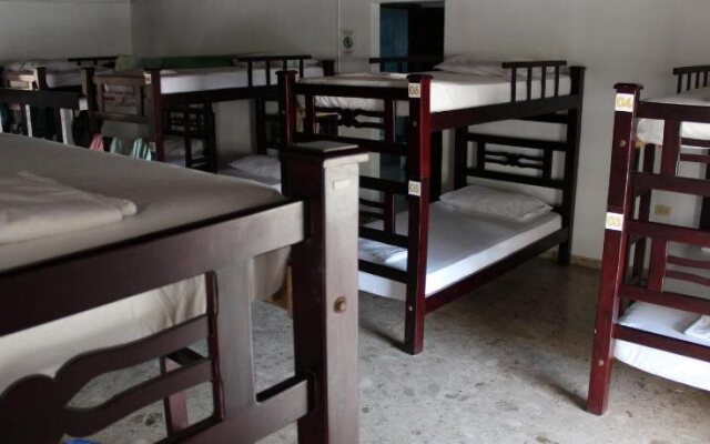 Drop Bear Hostel