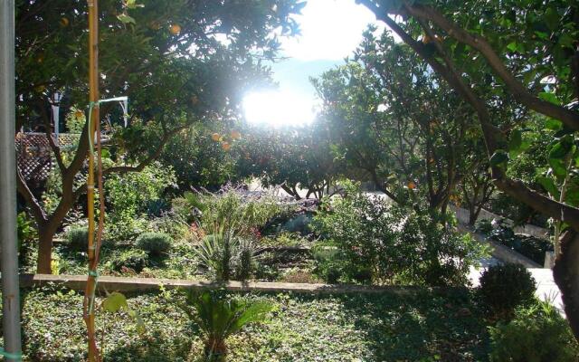 Apartments Sugor-70m from sea