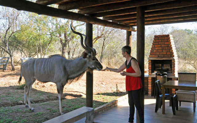Imbube Safari Lodge