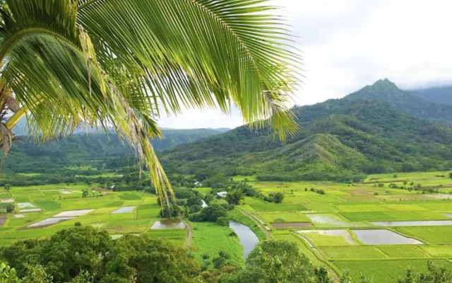 Waipouli Beach Resort A406