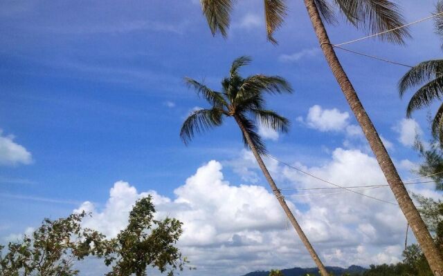 Coconut Homes & Cafe