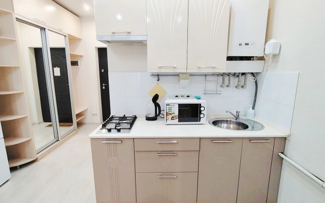 Delyuks na Trostnikovoy 35 Deluxe Apartment