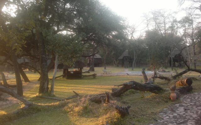 The Tree Lodge at Sikumi
