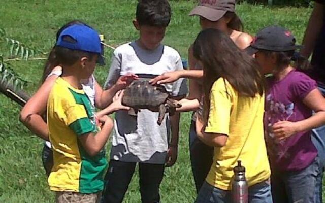 Hacienda Las Margaritas