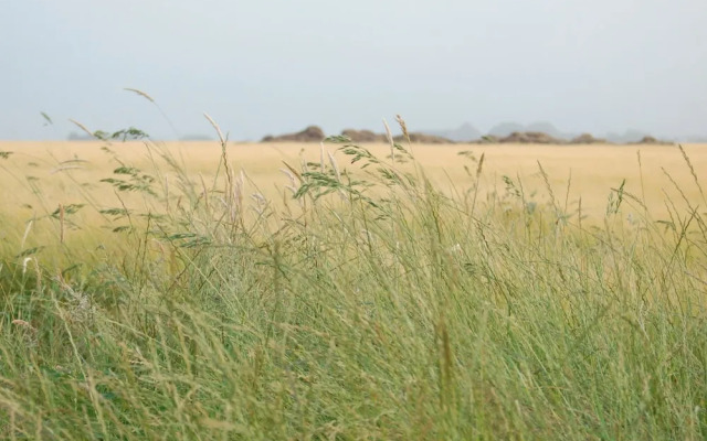Roompot Kustpark Texel
