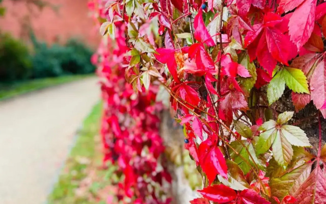 Riverside apartment in central Herzogenaurach