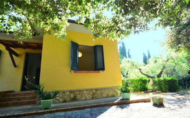 Comfortable Holiday Home In Castiglioncello With Garden
