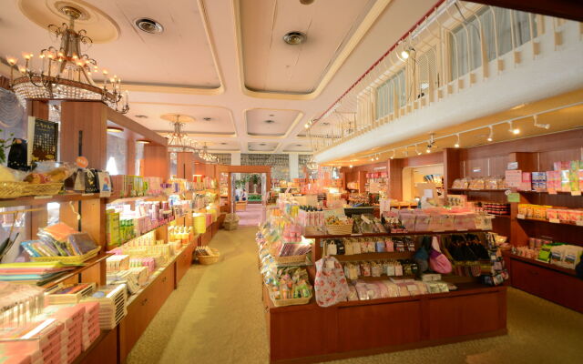 Hotel New Akao