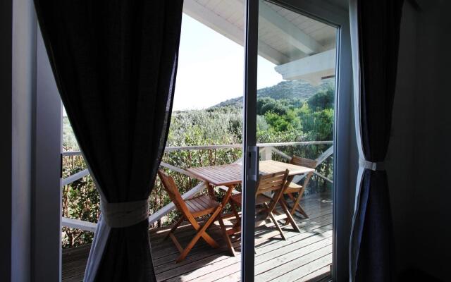 La Gabbianella E Il Gatto