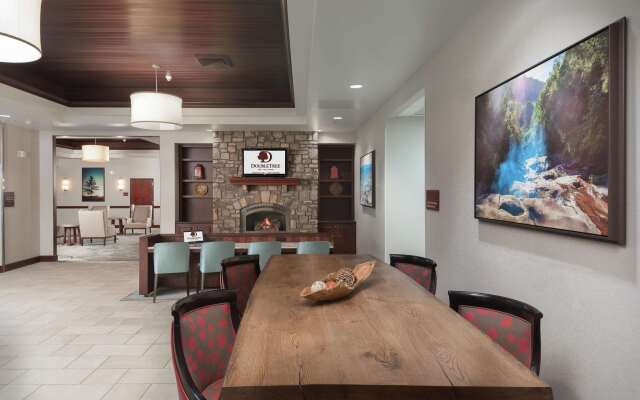 DoubleTree by Hilton Asheville - Biltmore