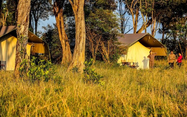 Serengeti Savannah Camps