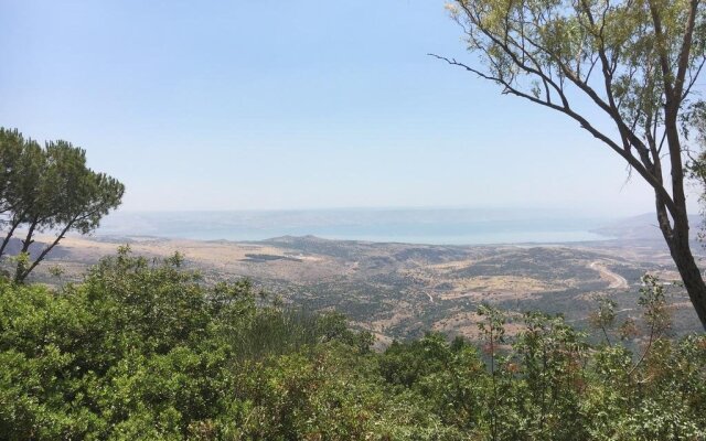 Roof Of The Galilee