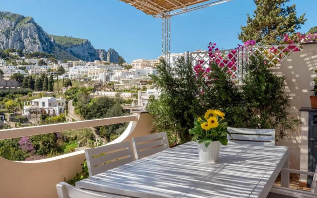 Oliveto Capri