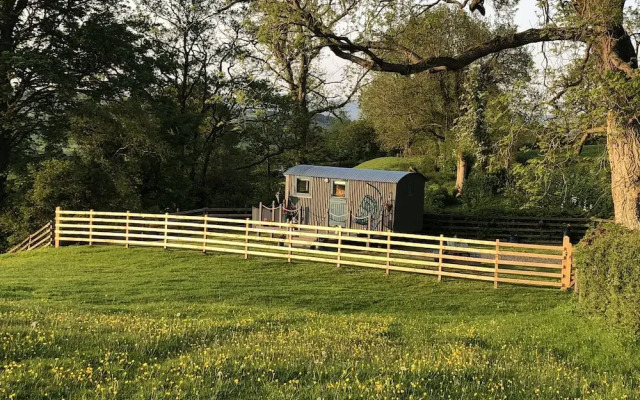 The Peacock Shepherds Hut at Hafoty Boeth