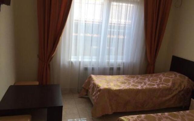 Tsentral Hotel
