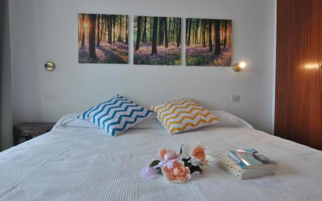 RNET - Sandra II D6 - Roses Santa Margarita