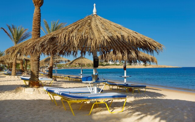 JAZ Sharm Dreams