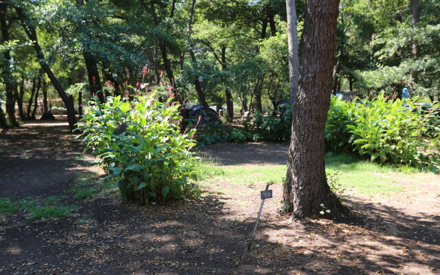 Camping Dolce Vita