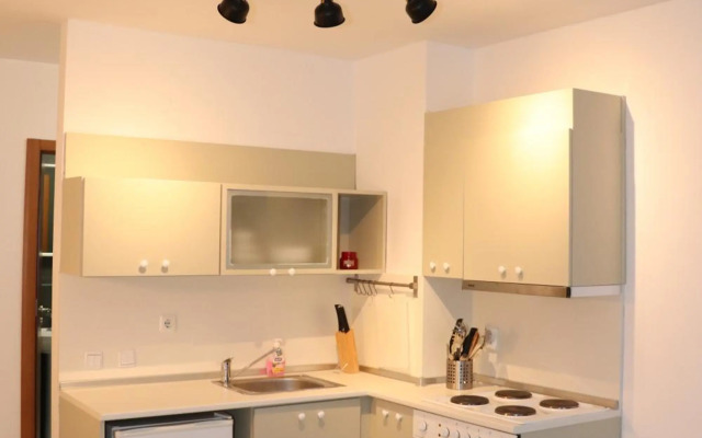 50m from Ski Piste 1 BR Apartment in Predela 2