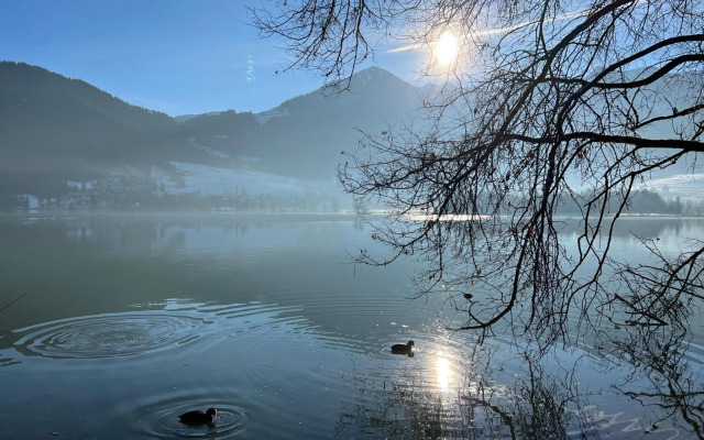 Apartment Liebelei am See