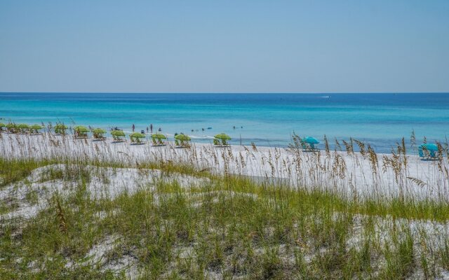 The Magnolia in Caribe - 1784242