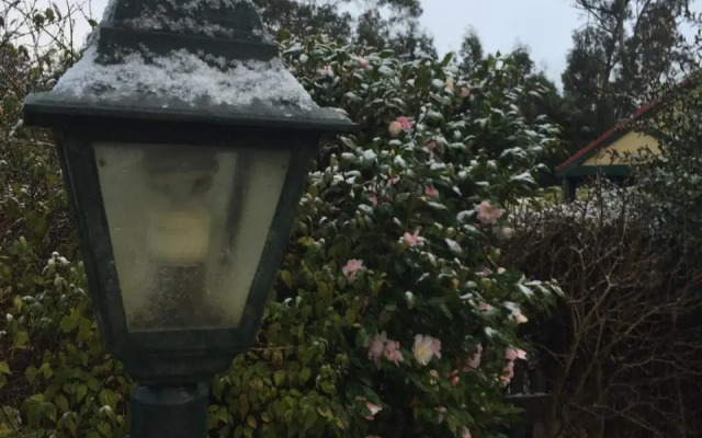 Oaktree Guest House
