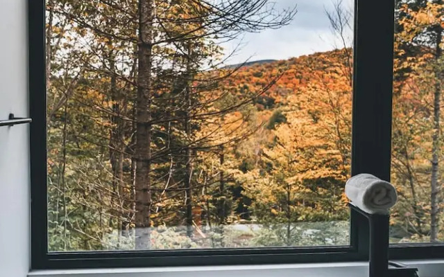 Warm Cabin in Nature With spa Sauna Citq 309153