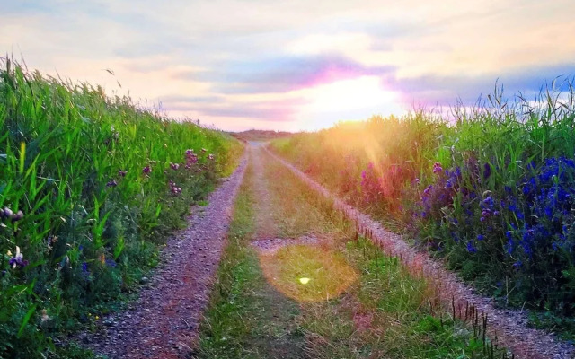 6 Person Holiday Home in Romo