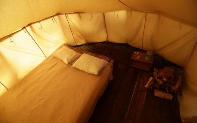 Эко-Отель Лес