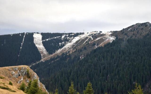 Eagle View Milmari N81