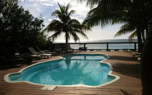 Coconut Tree West Bay