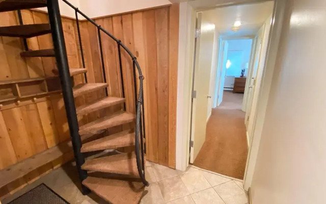 #310 Vail International