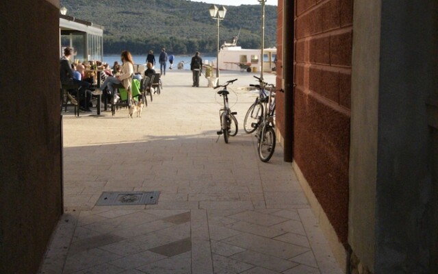 Apartments and Rooms Oliva